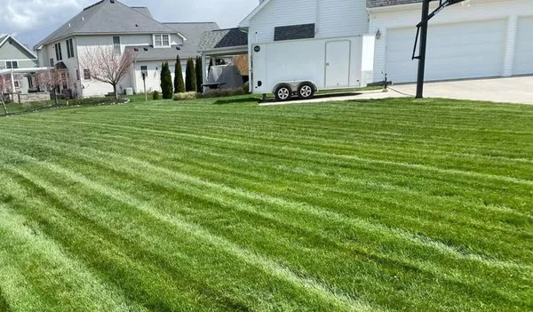 Nemire's Lawn Service