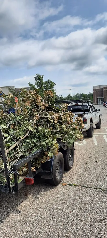 Trusted residential landscaping in Kalamazoo, MI - Nemo Exteriors