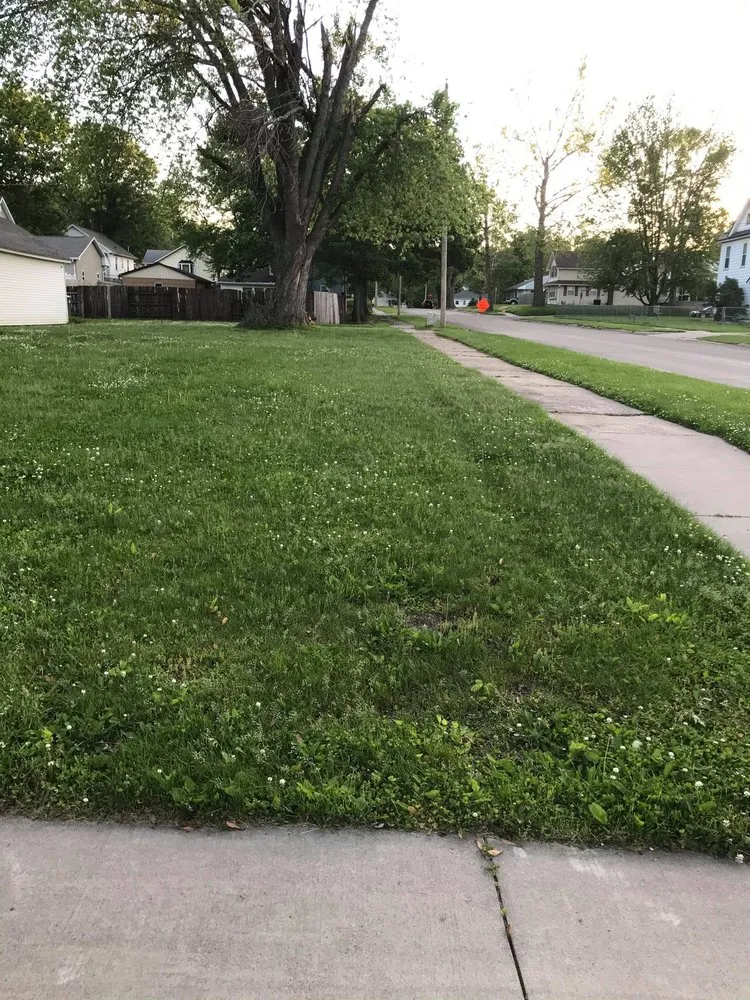 Custom lawn mowing service for residential properties across Fulton, IL - Nemo lawn care service