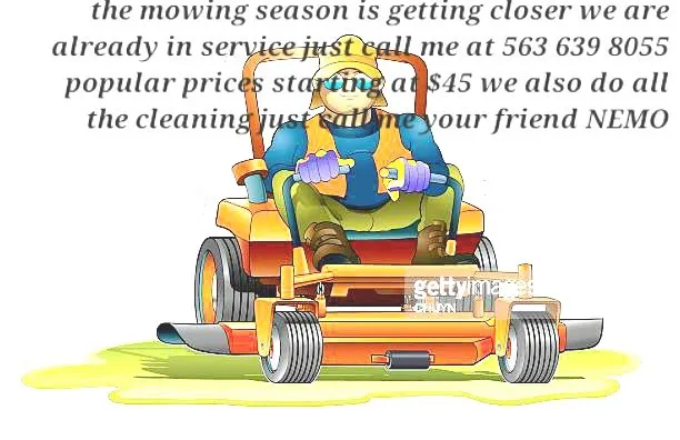 Reliable landscape design in Fulton, IL - Nemo lawn care service