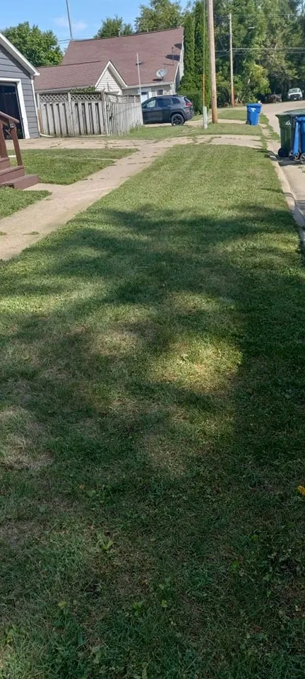 Top-rated garden landscaping for year-round maintenance across Fulton, IL - Nemo lawn care service