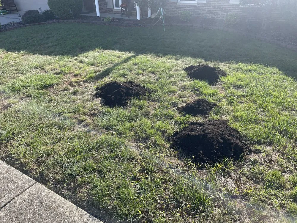 Custom outdoor landscaping experts serving Springboro, OH - Nemo's Lawn Care