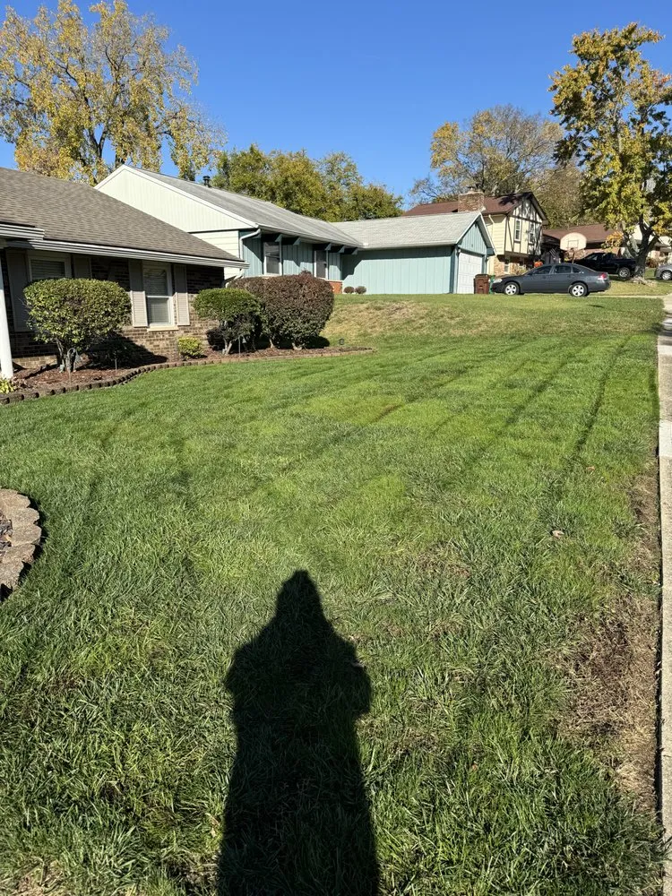 Custom lawn mowing service experts serving Springboro, OH - Nemo's Lawn Care