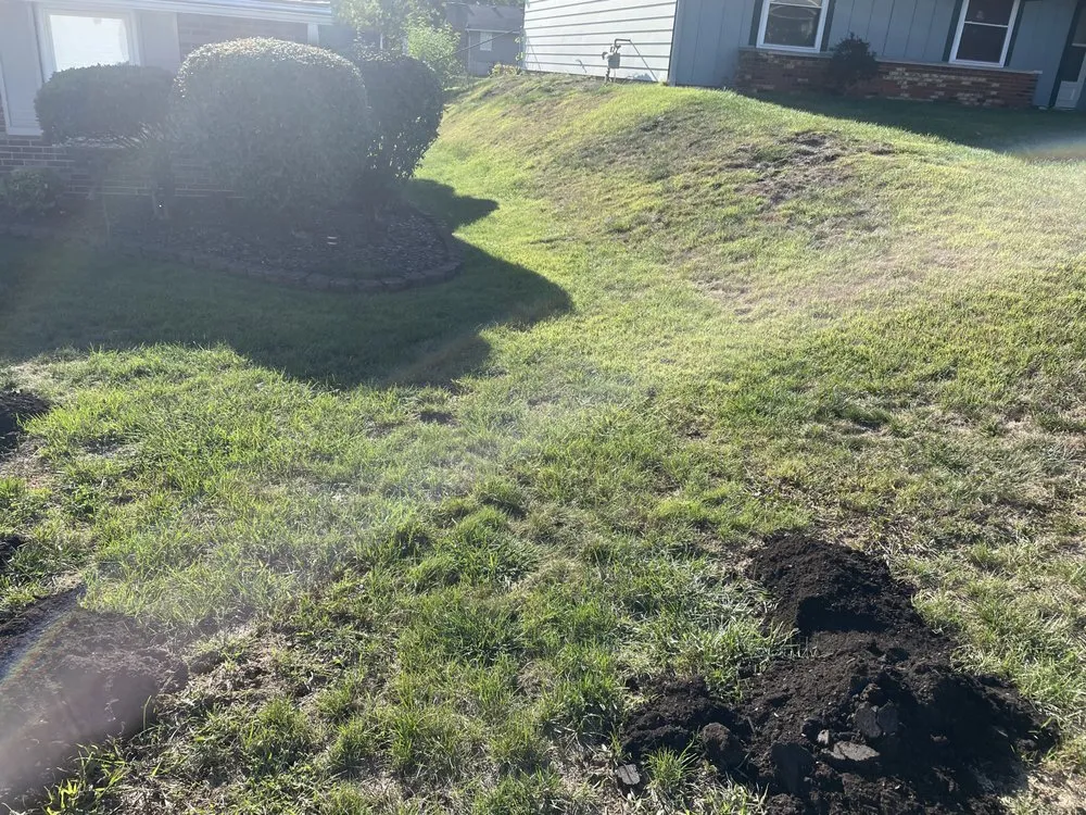 Affordable landscape design for outdoor upgrades across Springboro, OH - Nemo's Lawn Care