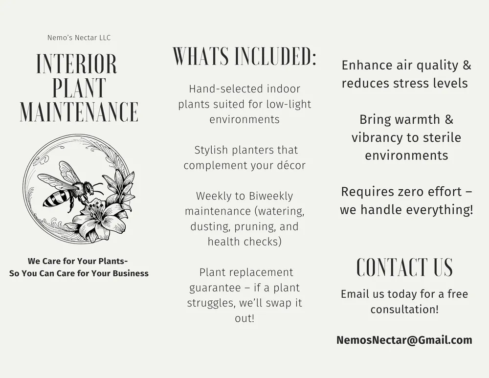 Top-rated landscape design in Cocoa, FL by Nemos Nectar