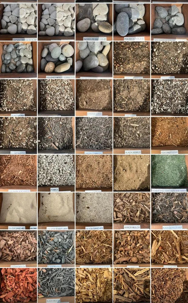 Local outdoor landscaping near you in Richmond, CA by Neo Green Solutions