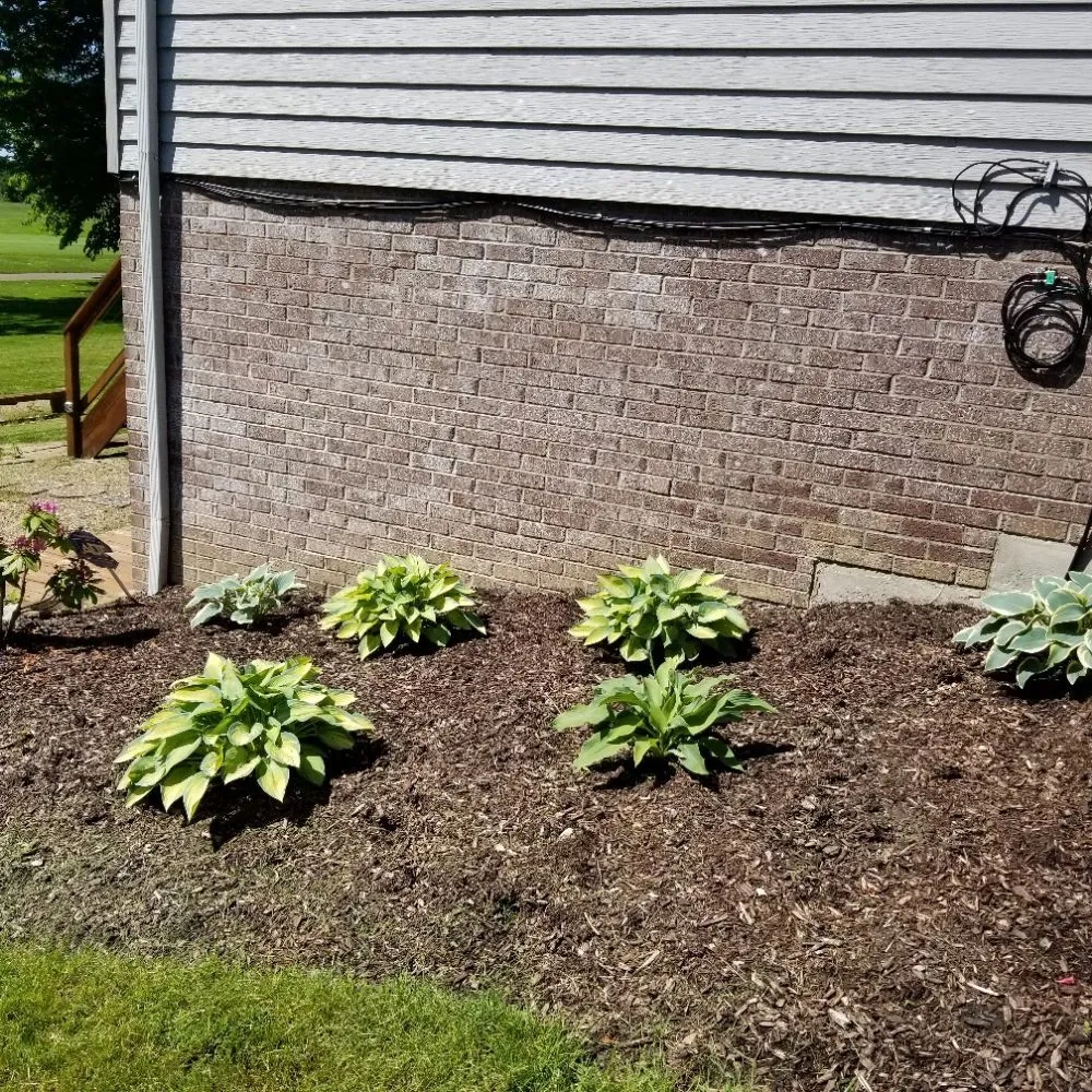 Reliable yard maintenance in Solon, OH - NEO Landscaping and Snow Removal