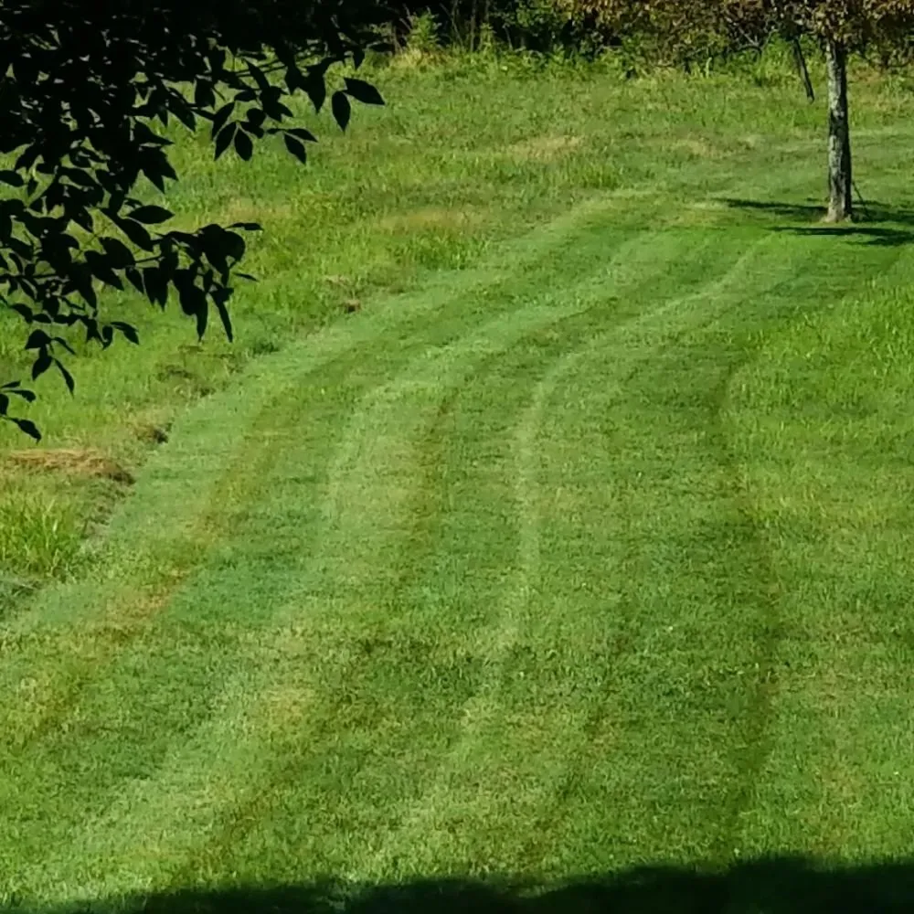 Trusted lawn mowing service near you across Solon, OH - NEO Landscaping and Snow Removal
