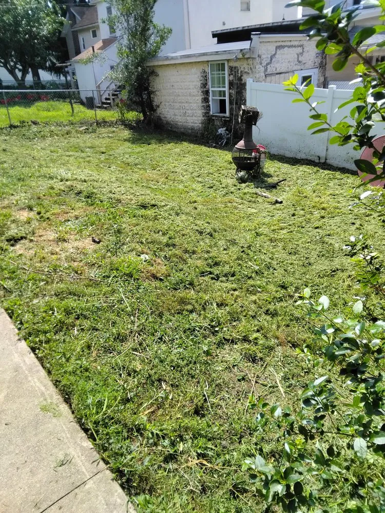 Reliable residential landscaping for residential properties across Scranton, PA - NEPA Lawn Busters