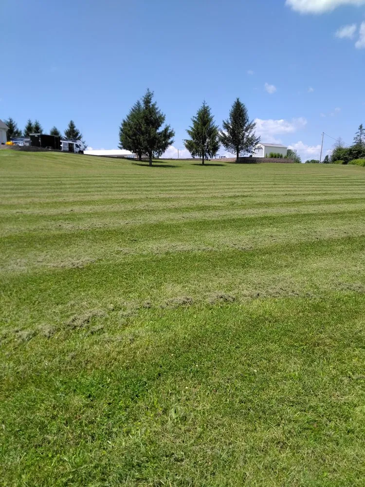 Top-rated outdoor landscaping near you in Scranton, PA by NEPA Lawn Busters