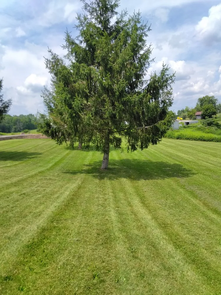Local landscaping services for residential properties in Scranton, PA by NEPA Lawn Busters