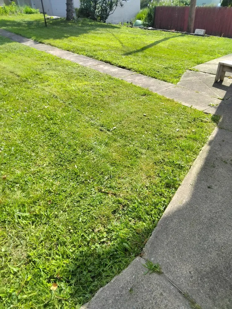 Expert landscaping services for beautiful yards in Scranton, PA by NEPA Lawn Busters