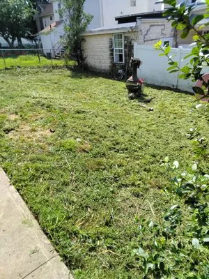 NEPA Lawn Busters Logo