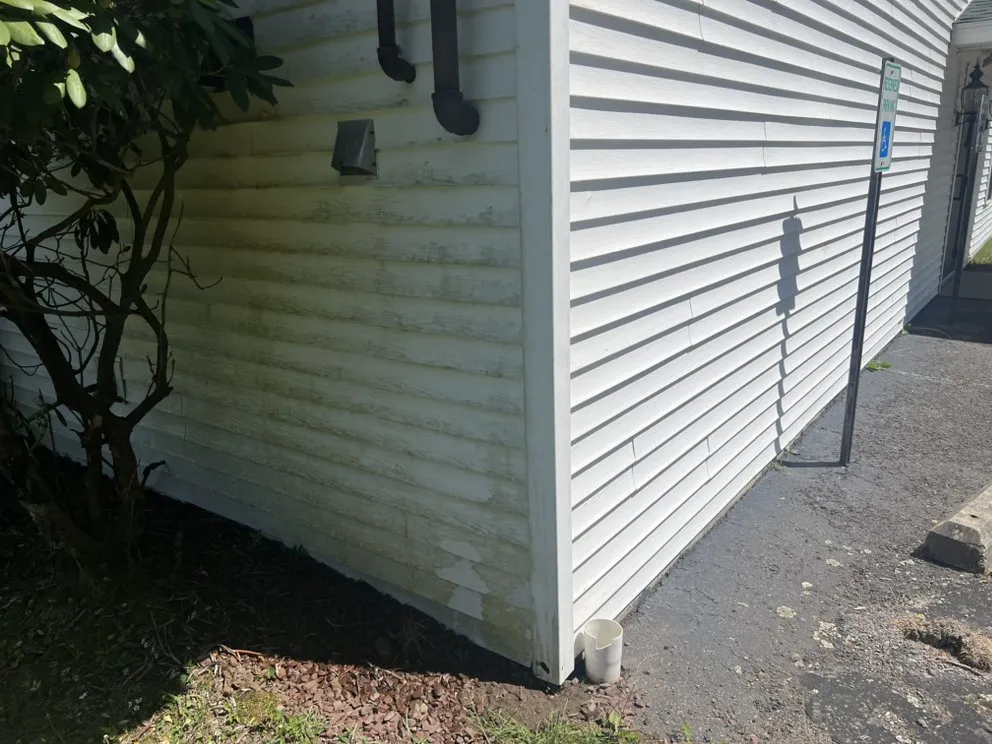 Professional lawn care service for residential properties across Ashley, PA - Nepa Pro Pressure Washing