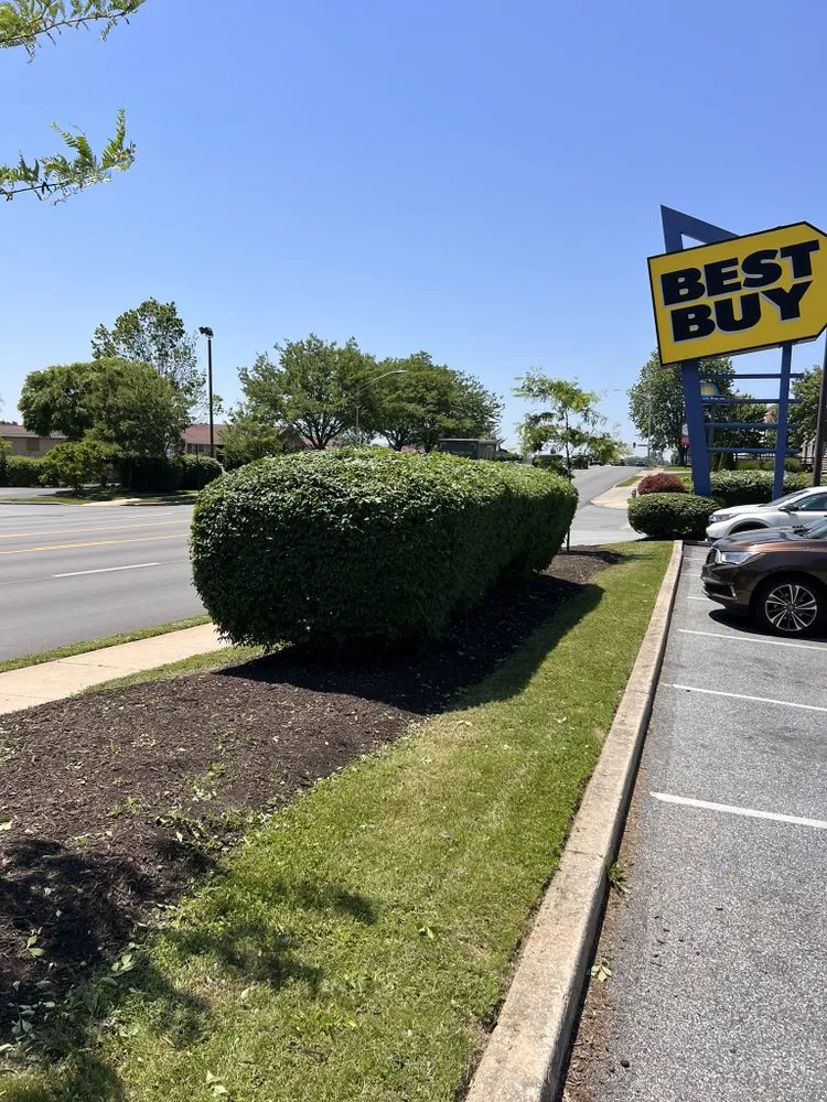 Professional landscape design in Sharon Hill, PA - Nephews Landscaping and Construction