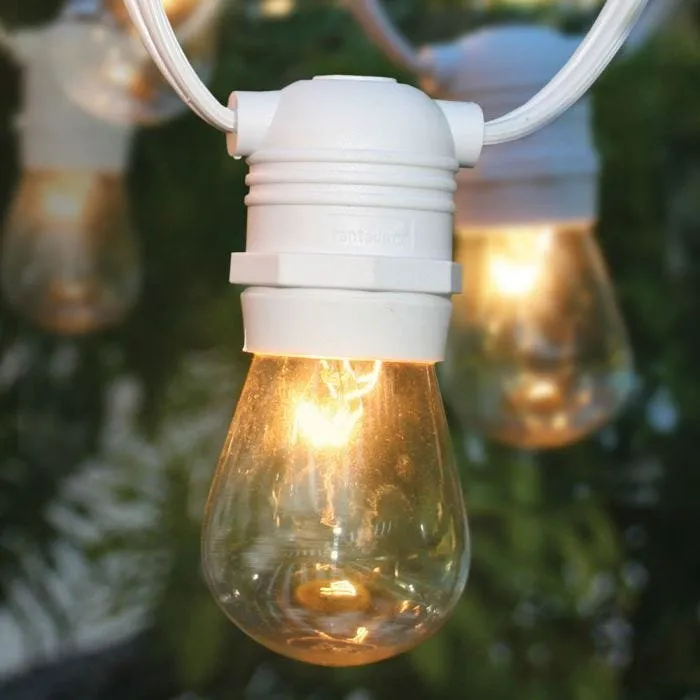 Professional lawn care service for outdoor upgrades across palmdale, CA - Neptune Lighting & Designs