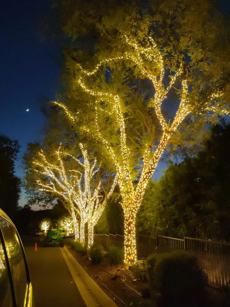 Local residential landscaping in palmdale, CA - Neptune Lighting & Designs