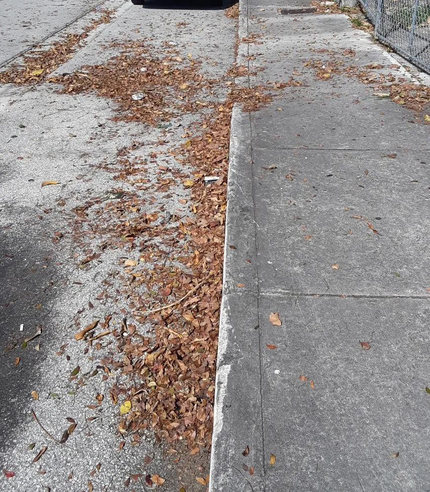 Affordable landscaping services near you in Miami, FL by Nerak