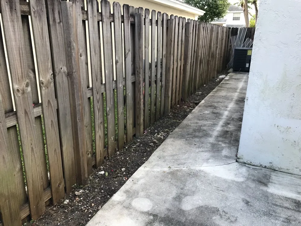 Top-rated yard cleanup service in Miami, FL by Nerak