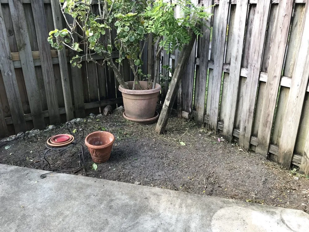 Expert yard maintenance in Miami, FL - Nerak