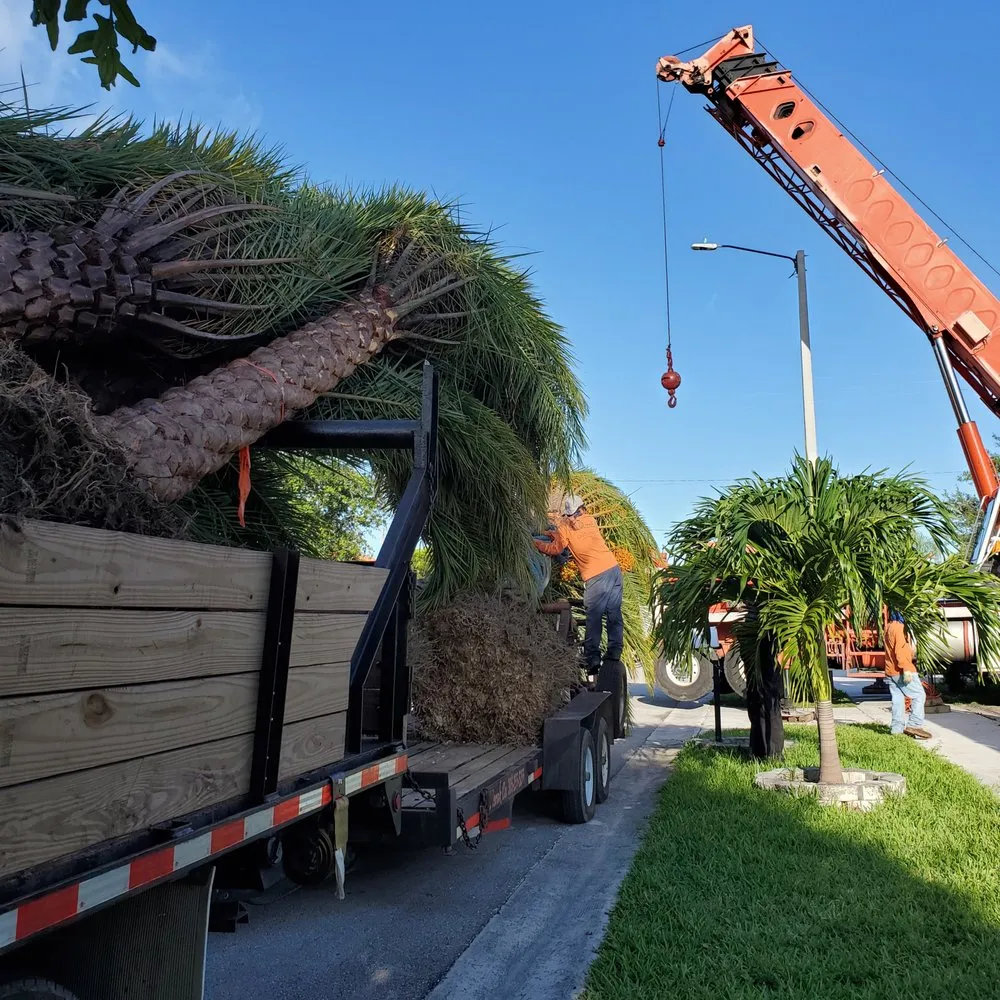 Trusted residential landscaping for homes across Miami, FL - Nerak