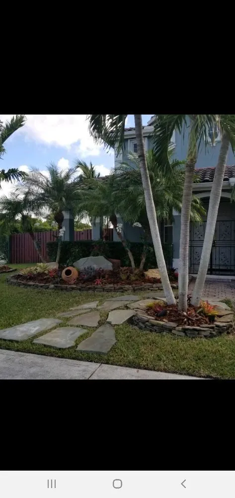 Top-rated landscape design in Miami, FL - Nerak