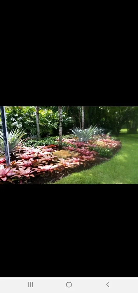 Expert landscaping services in Miami, FL - Nerak