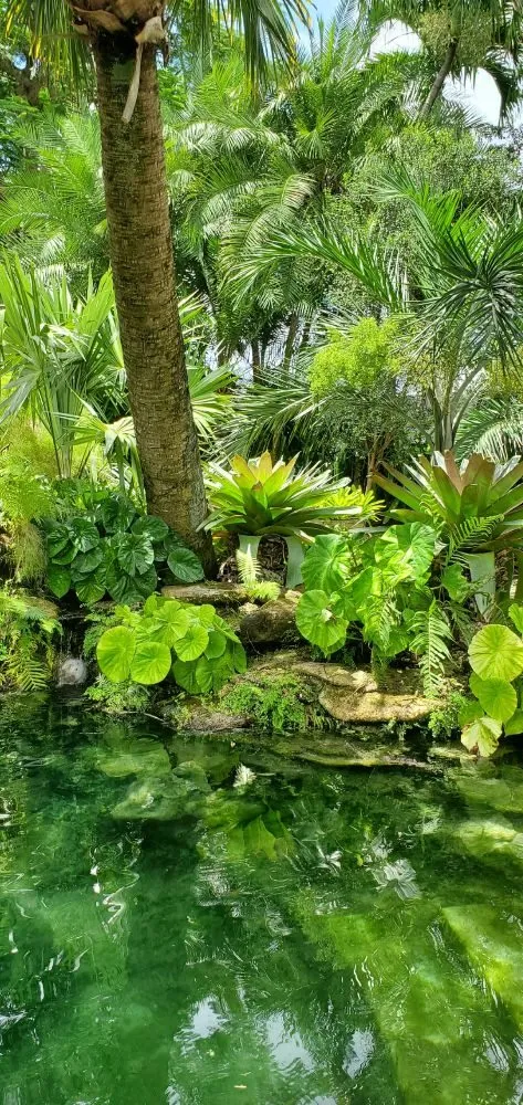 Affordable yard cleanup service for homes across Miami, FL - Nerak