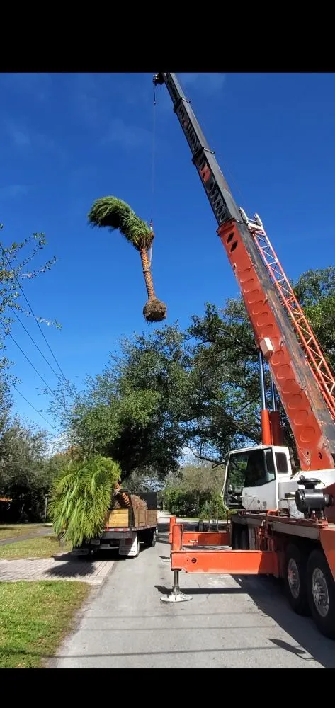 Reliable residential landscaping experts serving Miami, FL - Nerak