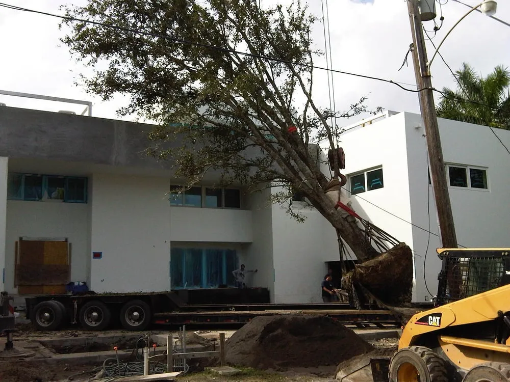 Local landscaping services for beautiful yards in Miami, FL by Nerak