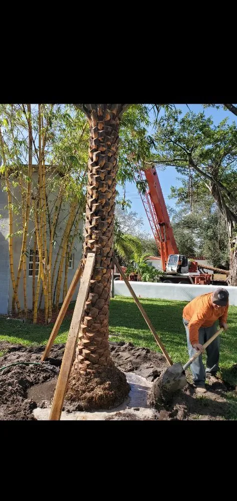 Expert landscape installation with custom design in Miami, FL by Nerak