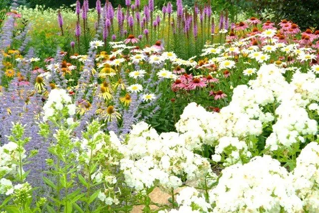 Local residential landscaping in Batavia, IL - Neri Landscape