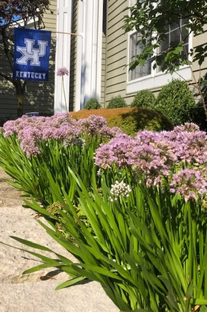 Custom garden landscaping for residential properties in Batavia, IL by Neri Landscape