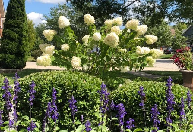 Local lawn mowing service near you across Batavia, IL - Neri Landscape