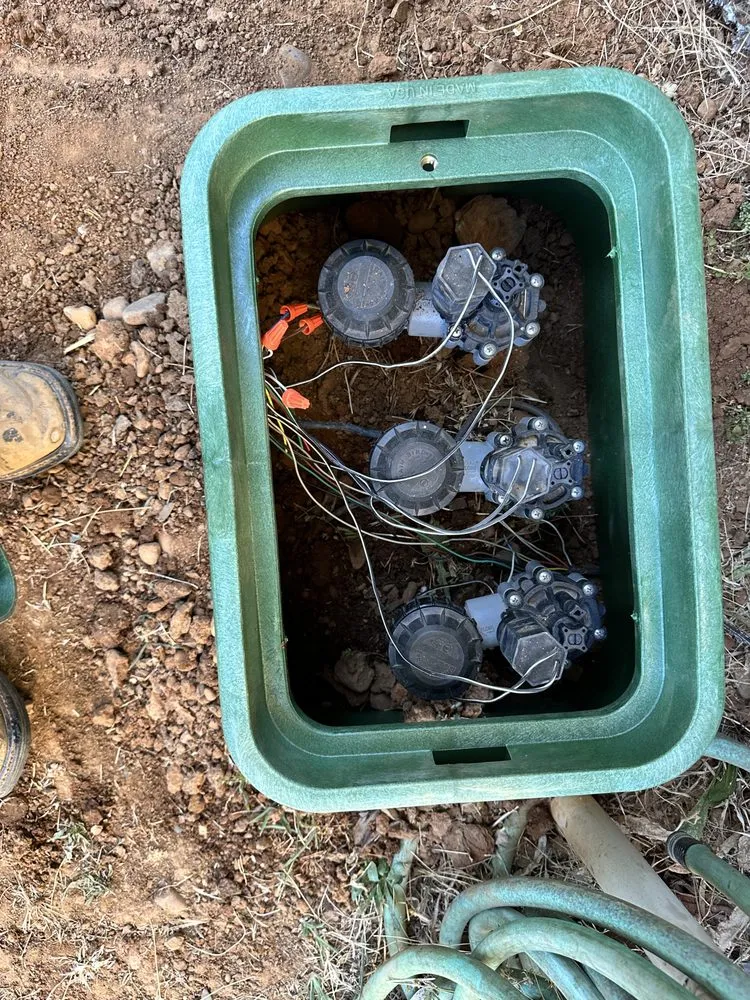 Custom yard cleanup service in Sacramento, CA by Neri Landscape Service