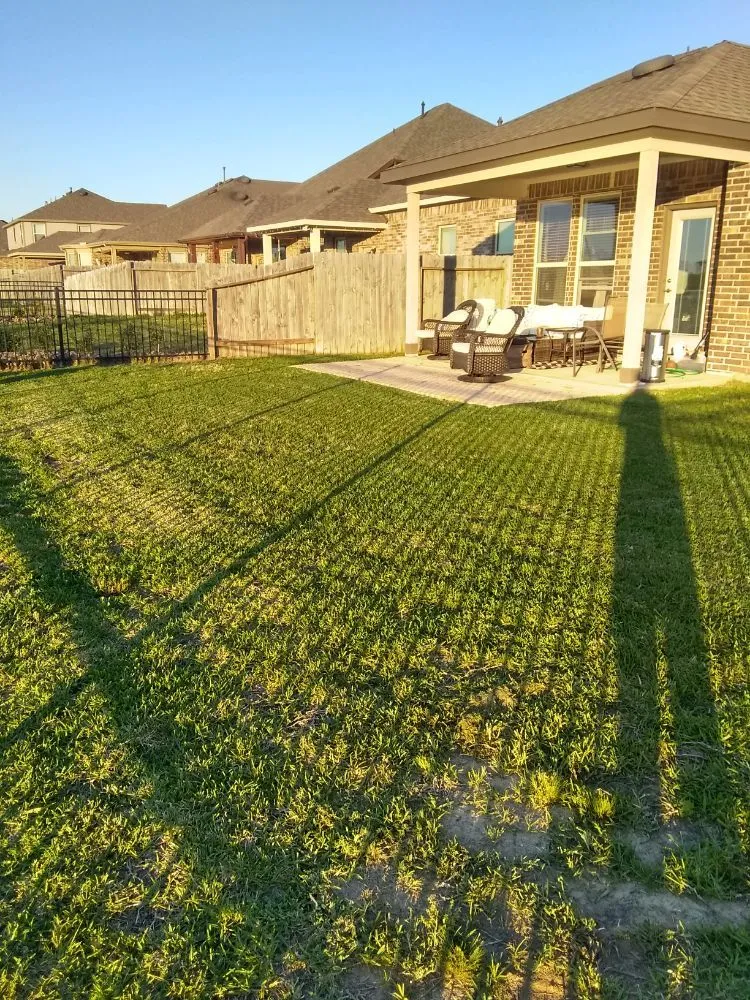 Custom landscape design in Katy, TX - Neri Lawn Care, Tree Service & Landscaping