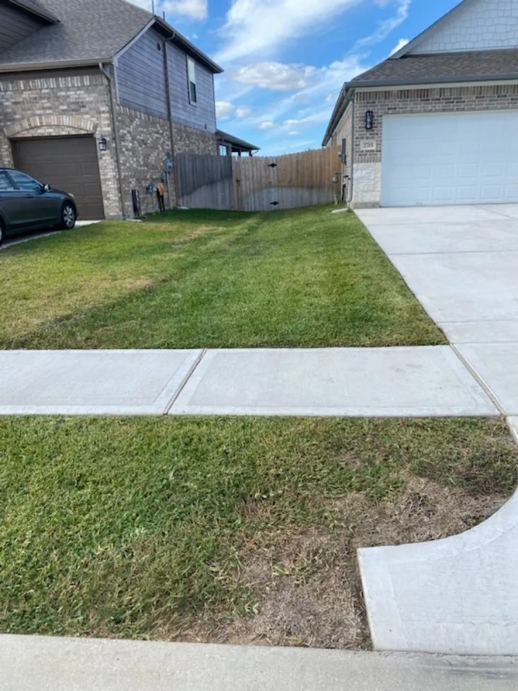 Custom landscaping services experts serving Katy, TX - Neri Lawn Care, Tree Service & Landscaping