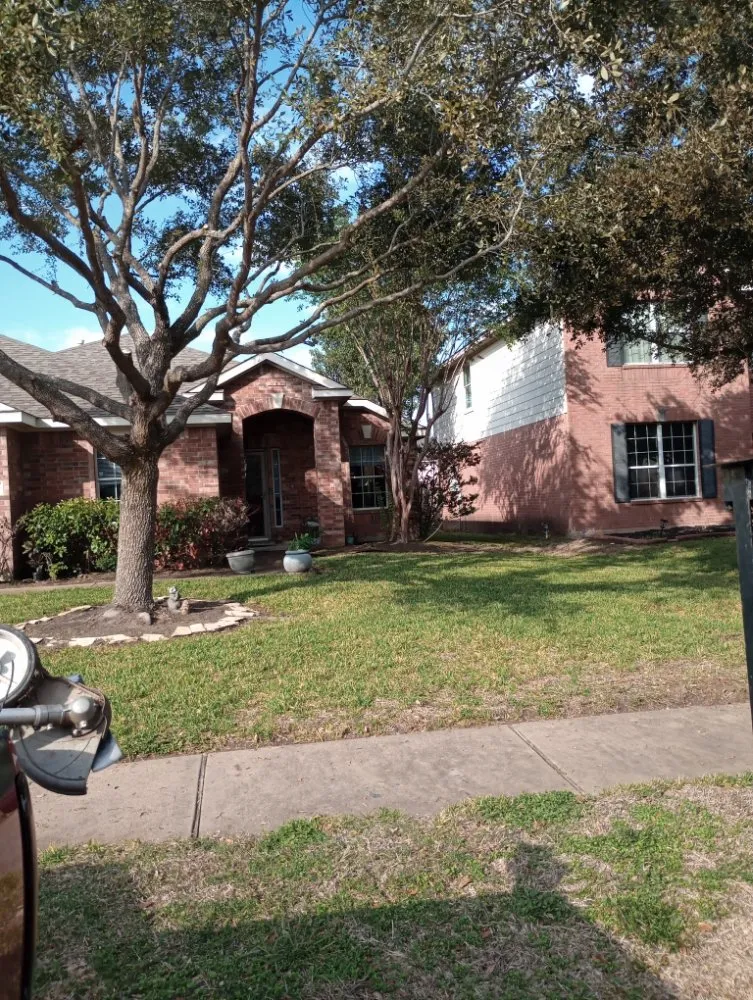 Expert residential landscaping in Katy, TX - Neri Lawn Care, Tree Service & Landscaping