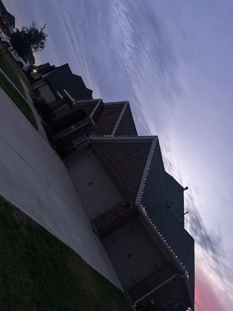 Top-rated lawn care service in Katy, TX - Neri Lawn Care, Tree Service & Landscaping