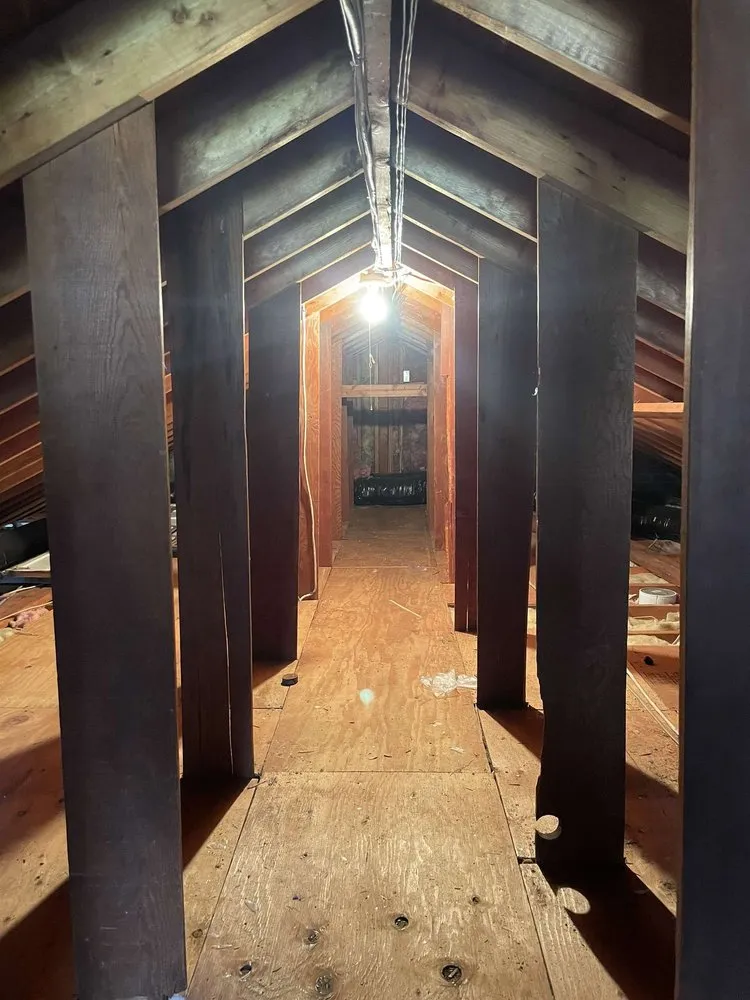 Professional outdoor landscaping for year-round maintenance across Glastonbury, CT - Neri Services