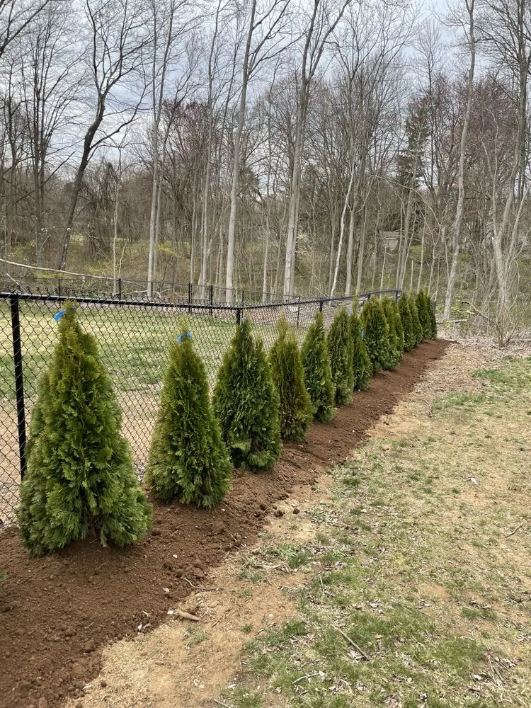 Trusted landscape installation experts serving Glastonbury, CT - Neri Services