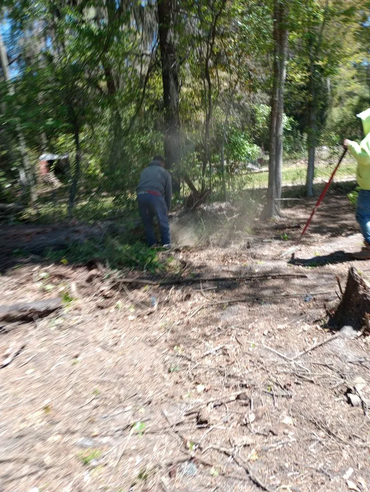 Trusted outdoor landscaping experts serving Savannah, GA - Neri's Landscaping