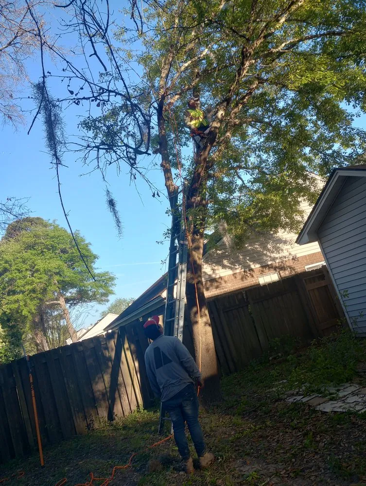 Trusted lawn mowing service in Savannah, GA - Neri's Landscaping