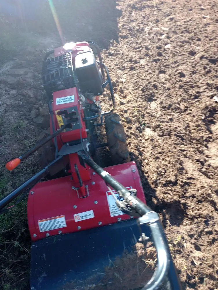 Reliable outdoor landscaping in Savannah, GA by Neri's Landscaping