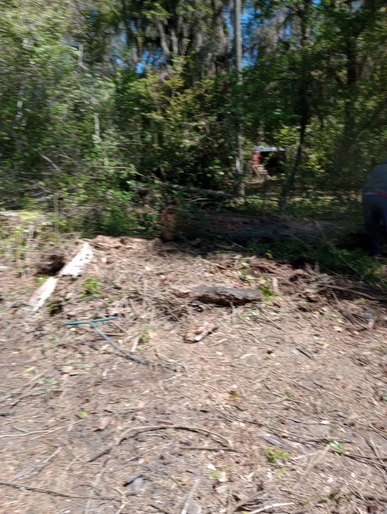 Professional lawn mowing service in Savannah, GA - Neri's Landscaping