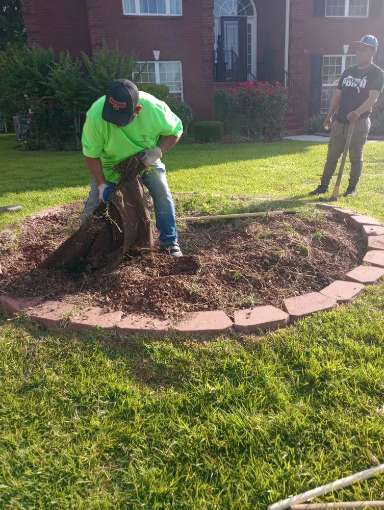 Trusted lawn care service in Savannah, GA - Neri's Landscaping