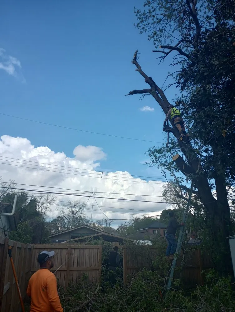 Expert landscape design in Savannah, GA - Neri's Landscaping