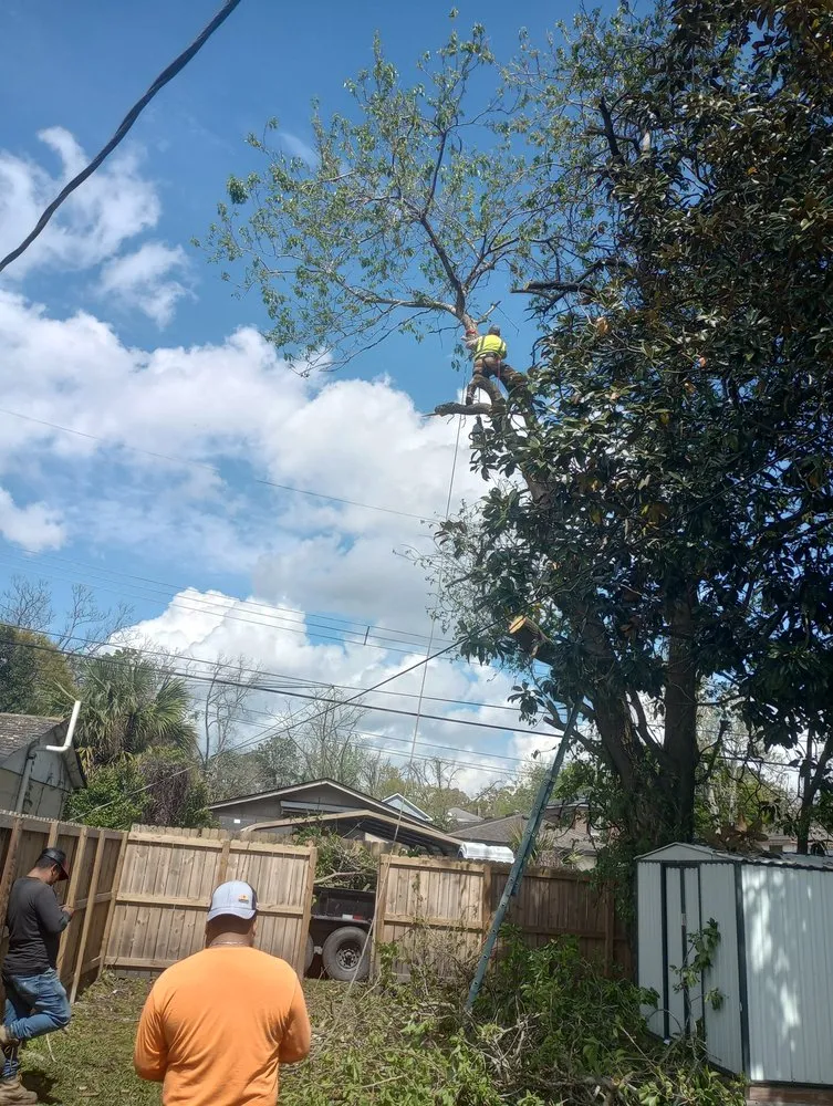 Top-rated yard cleanup service for outdoor upgrades across Savannah, GA - Neri's Landscaping