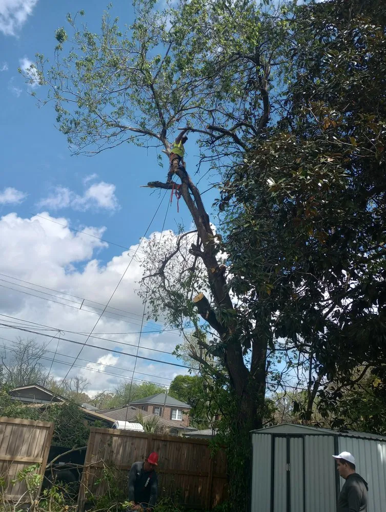 Professional yard cleanup service with custom design across Savannah, GA - Neri's Landscaping