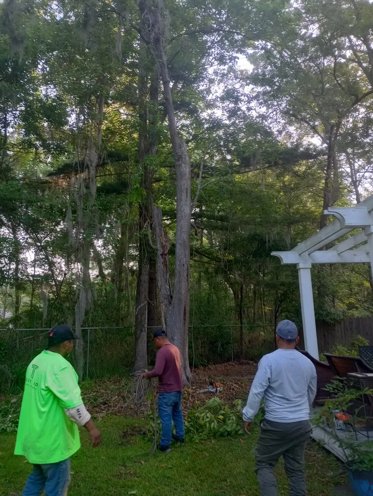 Reliable yard cleanup service in Savannah, GA - Neri's Landscaping